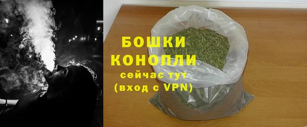 дурь Арсеньев