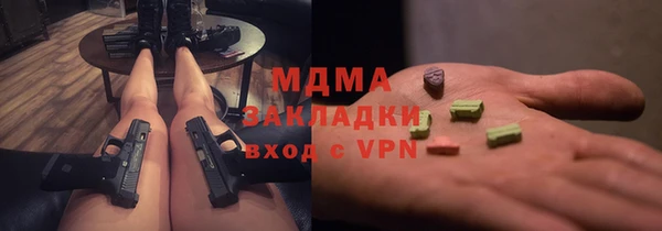 прущие грибы Няндома