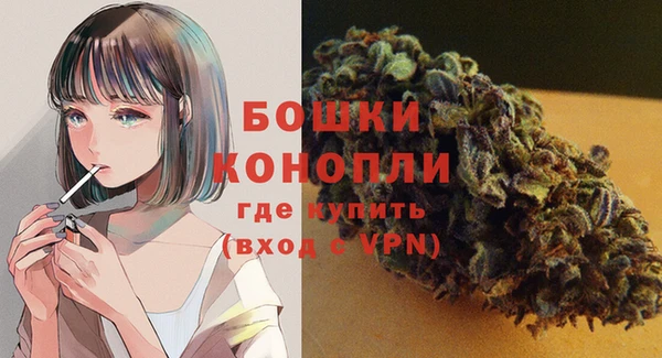 дурь Арсеньев