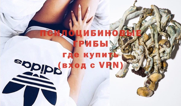 дурь Арсеньев