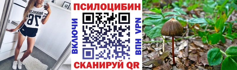 ОМГ ОМГ ссылка  Ревда  Псилоцибиновые грибы мицелий 