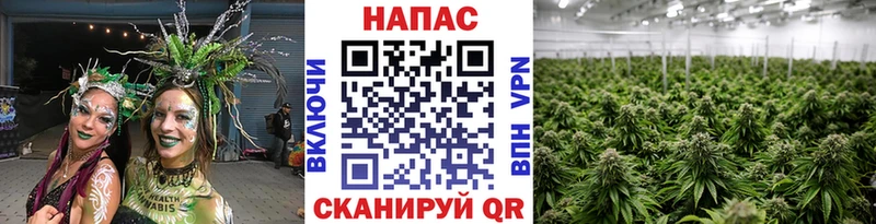 где можно купить   Ревда  Марихуана THC 21% 